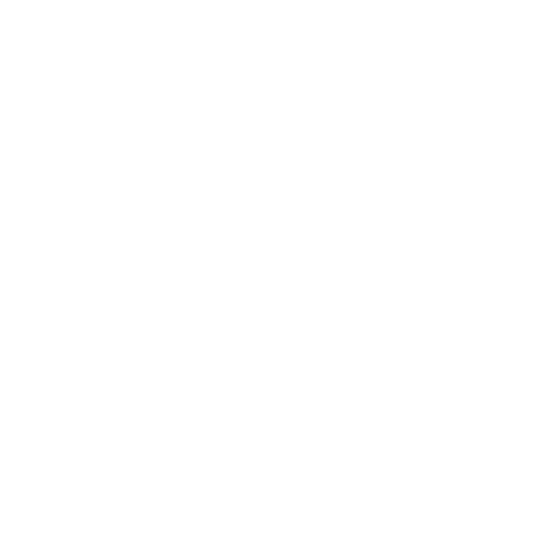 arranging-of-freight-forwarding-services