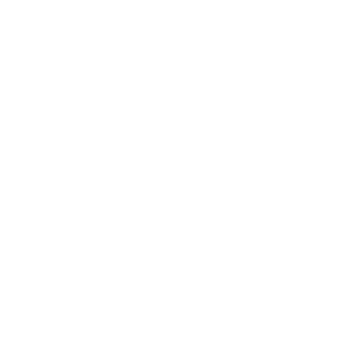 cargo-handling-services