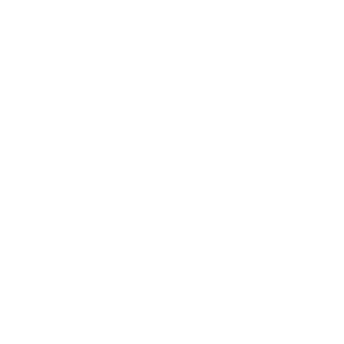 custom clearance service